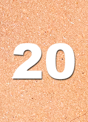 20 foam