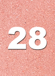 28 foam