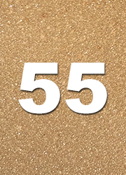 55 foam